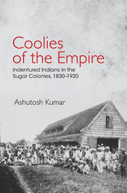 This book studies Indian overseas labour migration in the nineteenth and early twentieth centuries